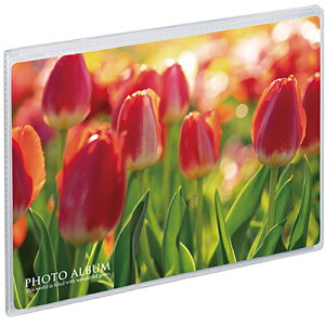 ZLZC KP-7008 [ ~j|PtHgAo 2LTCY R 20]