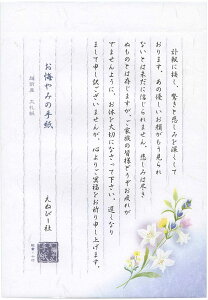 [䂤pPbg/1܂]`邫B5  5300208 Gkr[