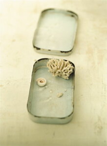 q~ӏ t |XgJ[h(ٓ) 34001-01