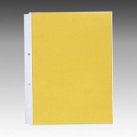 【送料無料】N-2101 ルポ・リーンフォース・クリヤーポケット＜超厚口＞ A4・S型 2穴 リヒトラブ 4903419349165（10セット）