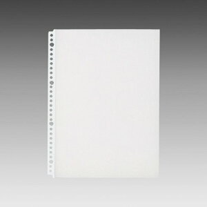 G49030 リクエスト クリヤーポケット(エコノミーパック) A4・S型 30(2・4)穴 クリヤー リヒトラブ 4903419347178(60セット)