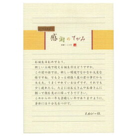 5300202　NB 伝えるきもち B5便箋 横罫 エヌビー社 4905260665289（170セット）