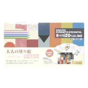 FY30NU ƂȂ̓hG N[s[yV30J[ TNNpX 4901881142802