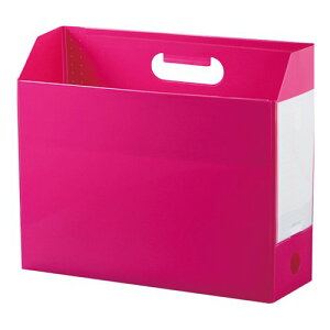 �Z�L�Z�C �{�b�N�X�t�@�C�� AD-2651PK �Z�L�Z�C 4974214163638