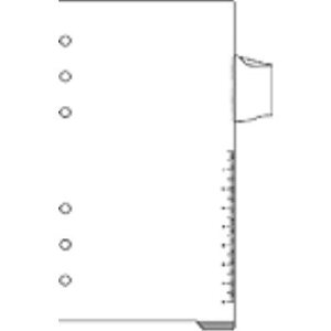 [䂤pPbg/1܂] _EB`@tB@~yz_[ CC 4902562309910