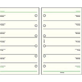 DPR217　ダ・ヴィンチ　ポケットリフィル　フリー週間C レイメイ藤井 4902562243412（10セット）