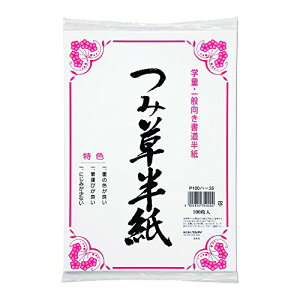 P100�n-35�@�}���A�C �ݑ����� 100�� �}���A�C 4902850350204�i10�Z�b�g�j