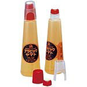 }g ArbN}g E-NA-300W{ }g 4903076900044