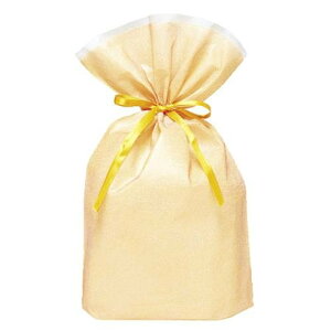 ��� �В�BAG YE T-2276-L ��� 4512427227671�i5�Z�b�g�j