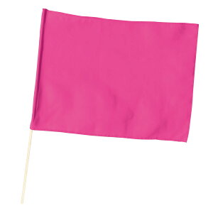 A[ebN  usN :W41×H30cm :45cm(8mm) 4521718020518