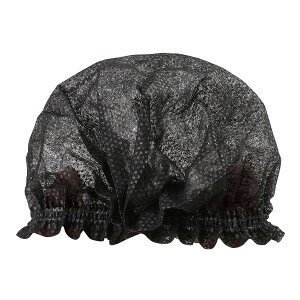 A[ebN ĝĕsDz}CNJo[(100) 4521718524856