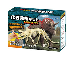 A[ebN Δ@Lbg gPgvX 4521718554815