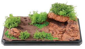 A[ebN ͂߂ẴWI}x[XLbg LjI 4521718582603