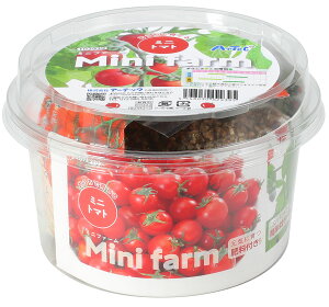 A[ebN ~jt@[ňĂ~jg}g 4548030029395