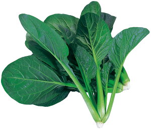 アーテック 水耕栽培ユニット ベビーコマツナ 4548030029678