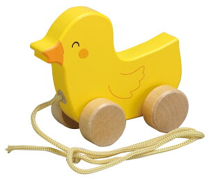 A[ebN ؐۃqR 4521718117614