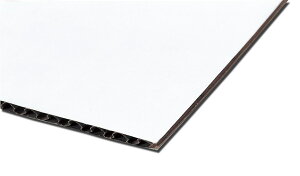 A[ebN Жʔi{[(10g) 4521718455099