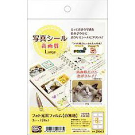 エーワン 写真シール高画質LARGE 29663（210セット）