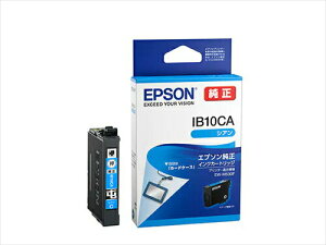EPSON@CNJ[gbWJ[hP[X@IB10CA@4988617418950