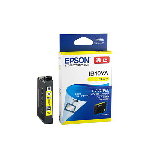 EPSON@CNJ[gbWJ[hP[X@IB10YA@4988617418974