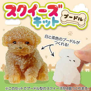 A[ebN/58525_XNC[YLbg v[h/4521718585253