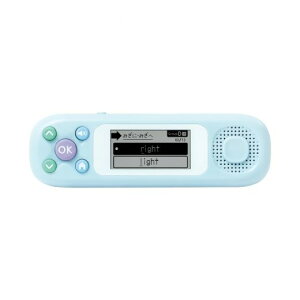 \jbN/PT-2600-LB_sRg@pP700wx15łĂpꎨCgu[/4970116057525