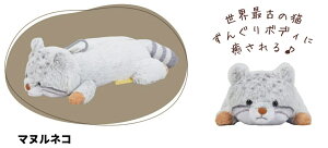 TX^[_ʂ݃yP[X kC~[3}klR/4901770792019i3Zbgj