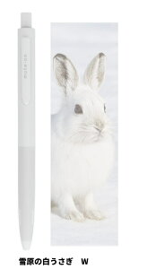 y䂤pPbgzTX^[_ÉQ{[y ~[gጴ̔ W/4901770808987i10Zbgj