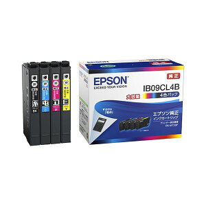 EPSON@CNJ[gbW@IB09CL4B@4988617378438