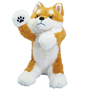 LOW_Pouzoou|[Y[vy|[`_VoCk PZ2026 /4971660780990