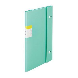 LOW_NA[t@C JLR Wo^Cv 16|PbgA4 ^e^~gO[ 8612-MINTGREEN /4971660059942