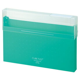 A-6024-7 リヒトラブ CUBE FIZZ コングレスケース グリーン A-6024-7 リヒトラブ 4903419843472