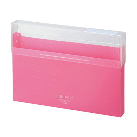 A-6024-12 リヒトラブ CUBE FIZZ コングレスケース ピンク A-6024-12 リヒトラブ 4903419843519