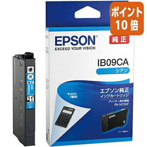 EPSON CNJ[gbW IB09CA@4988617378407