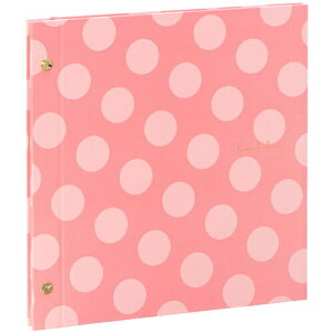 n[p[nEX JWAAo hbg t[䎆^Cv sN XP-4310-21 ZLZC 4974214166332