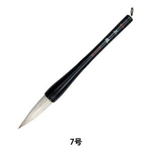 iʁj@M@7 AJ-200 4963095210173