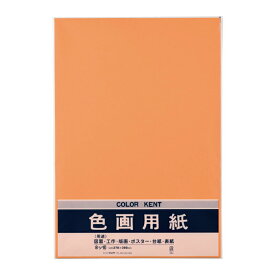 マルアイ 色画用紙N871オレンジ　 Pエ－N87DA 4902850124331（10セット）