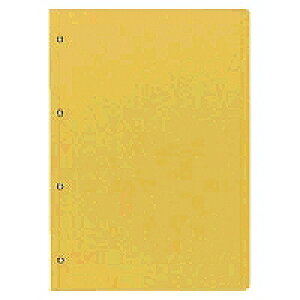 c-47 RN ԍ\ A4 c^ 4 RN 4901480040813i80Zbgj