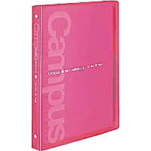 -P333P RN LpXoC_[m[gubN sN B5 26 RN 4901480162379i100Zbgj