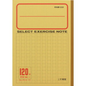 ^ wK B5 K-91 ^ 4902681029102i10Zbgj