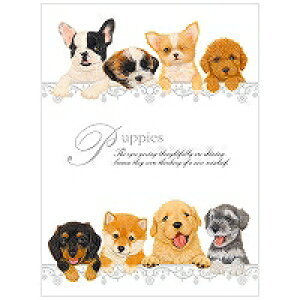 3050401@NB PKA5 ps[Y Gkr[ 4905260658601i200Zbgj