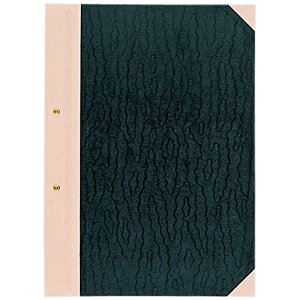 Ƃݕ\ H-45 A4S 2 ZLZC 4974214133778i20Zbgj