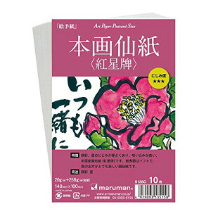 S135C G莆p A[gy[p[|XgJ[hTCY {历 g S135C(10) }} 4979093135158i50Zbgj