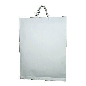 額縁手提袋 ベ584 白 a3 菅公工業 4971655925849