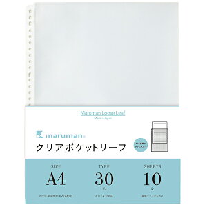 L460 NA|Pbg[t A4 30(10) }} 4979093008209i150Zbgj