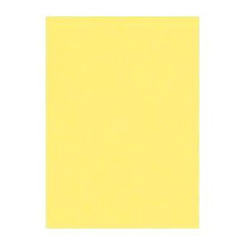色画用紙 4ツ切 nc108-4 黄色 リュウグウ 108キ（100セット）