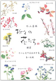 [単価323円・5セット] 表現社 はがき箋 横書き 12柄 12枚 美濃和紙 折々の花 十二ヶ月の花 24ー222 4961187242224（5セット）