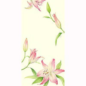 mVtEgE ^NeL  NSF-049 teBA 4937630220491i6Zbgj