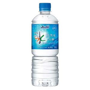 ATq b_Zb̂PET 600ml 24{