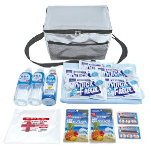 uC b_MǑ΍LbgDX BR-610